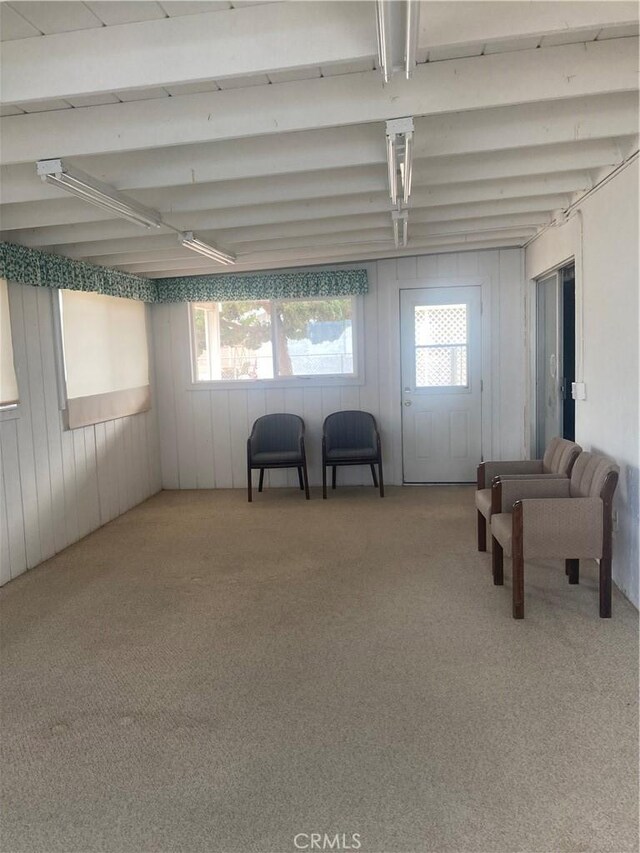 sitting room with plenty of natural light and carpet floors