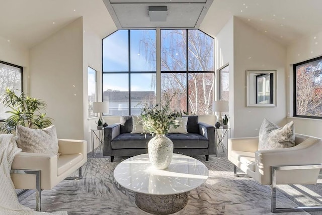 living room featuring lofted ceiling