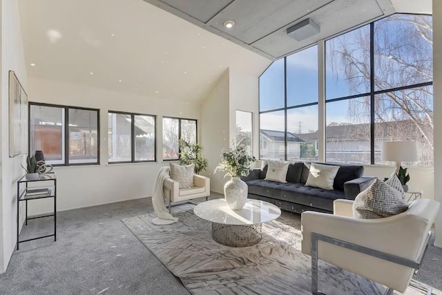 carpeted living room featuring lofted ceiling and a wealth of natural light