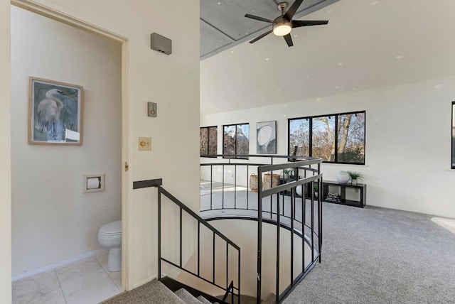 stairs featuring ceiling fan, carpet floors, and a high ceiling