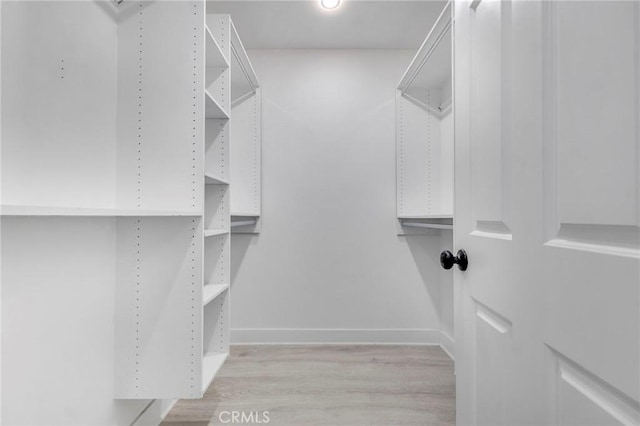 walk in closet featuring light wood-type flooring