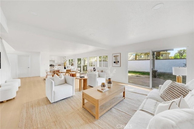 living room with light hardwood / wood-style floors