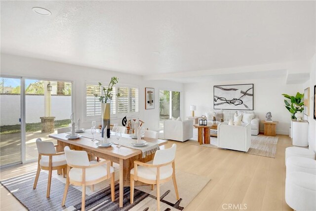 dining room with light hardwood / wood-style floors