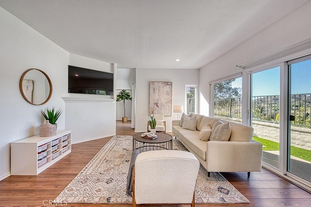 living room featuring dark hardwood / wood-style flooring