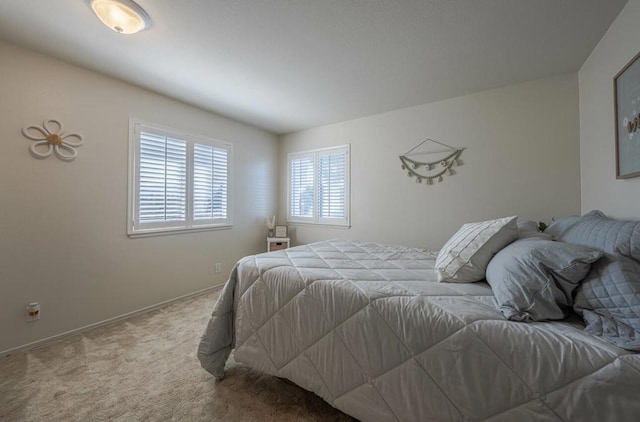 bedroom featuring carpet