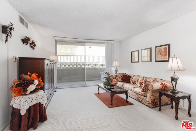 carpeted living room featuring a textured ceiling