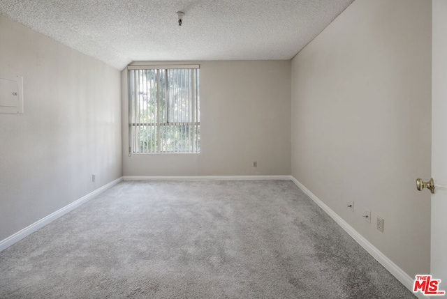 spare room featuring a textured ceiling, lofted ceiling, and carpet floors