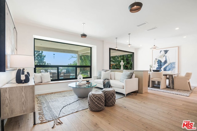 living room featuring light hardwood / wood-style floors