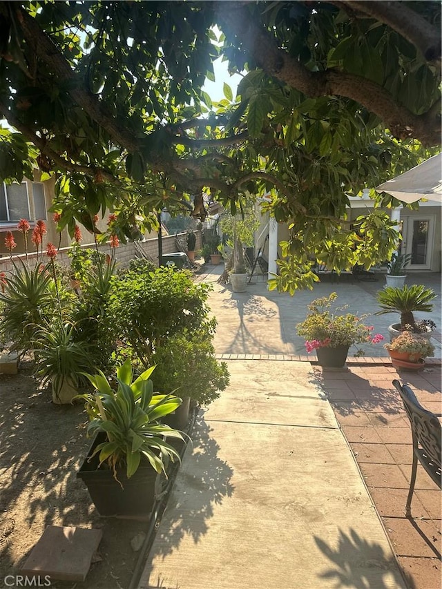 view of yard with a patio