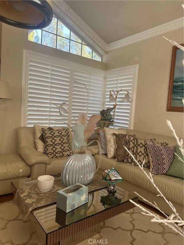 living room with crown molding and lofted ceiling