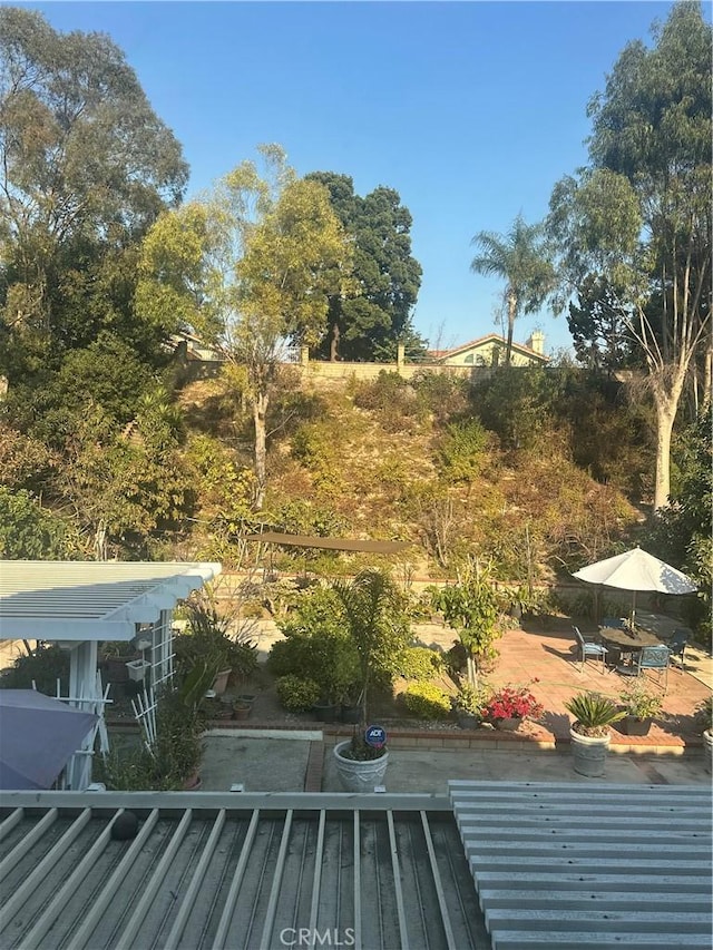 view of yard featuring a balcony and a patio