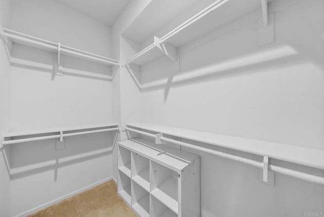 spacious closet featuring light carpet