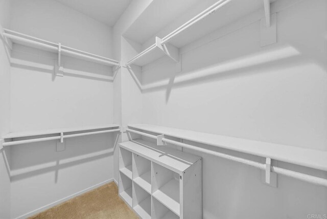 walk in closet with light colored carpet