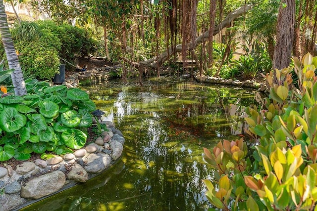 view of local wilderness featuring a garden pond