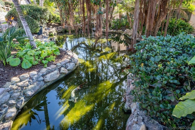 view of nature with a garden pond