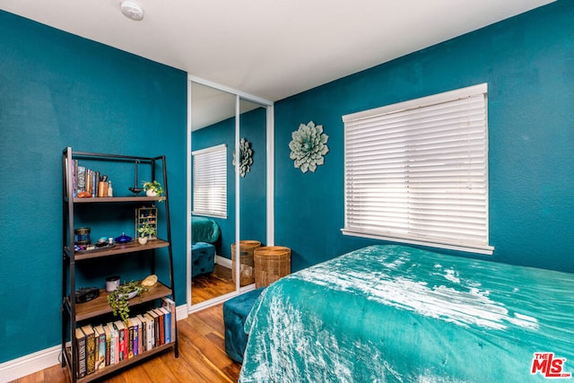 bedroom featuring a closet and hardwood / wood-style floors