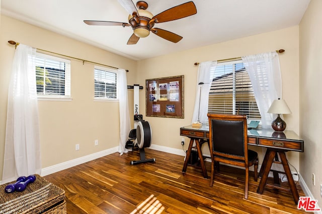 office featuring ceiling fan and dark hardwood / wood-style floors