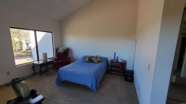 bedroom with lofted ceiling and dark colored carpet