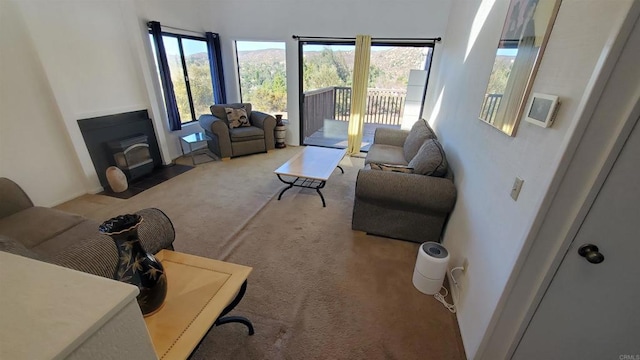 carpeted living room featuring a wood stove