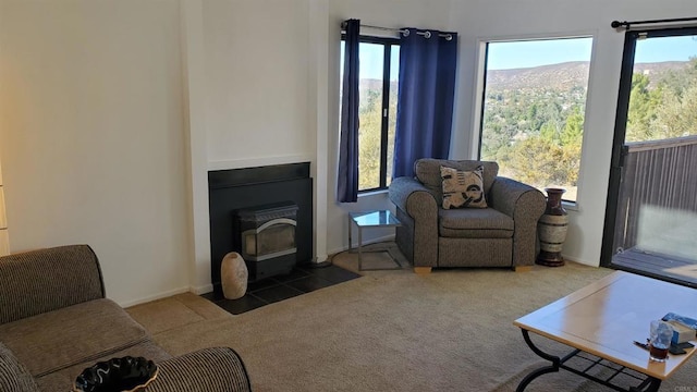 living room featuring a wood stove and dark carpet