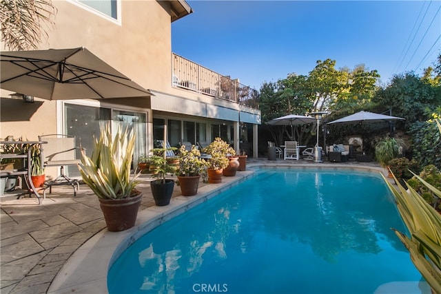 view of pool with a patio area