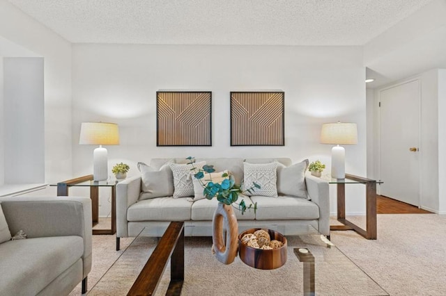 carpeted living room featuring a textured ceiling