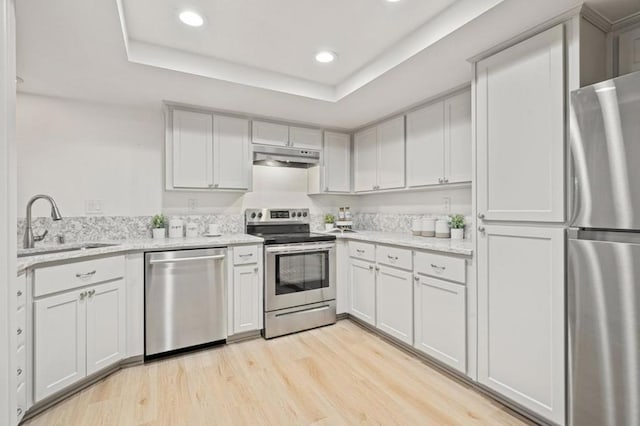 kitchen with white cabinetry, appliances with stainless steel finishes, a raised ceiling, and light wood-type flooring