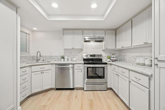 kitchen featuring white cabinetry, appliances with stainless steel finishes, a tray ceiling, light wood-type flooring, and sink