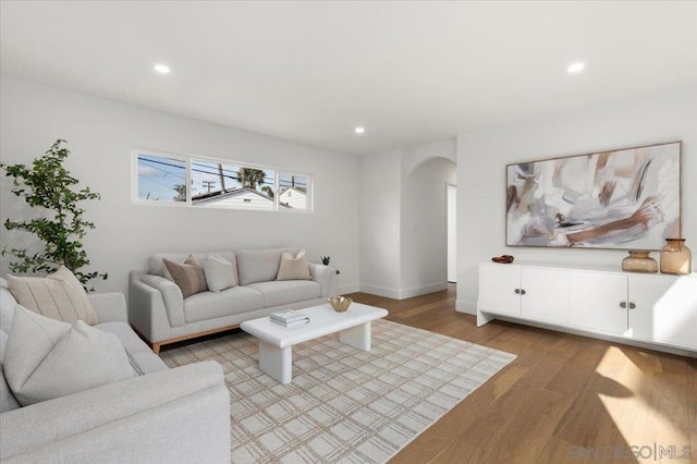 living room with wood-type flooring