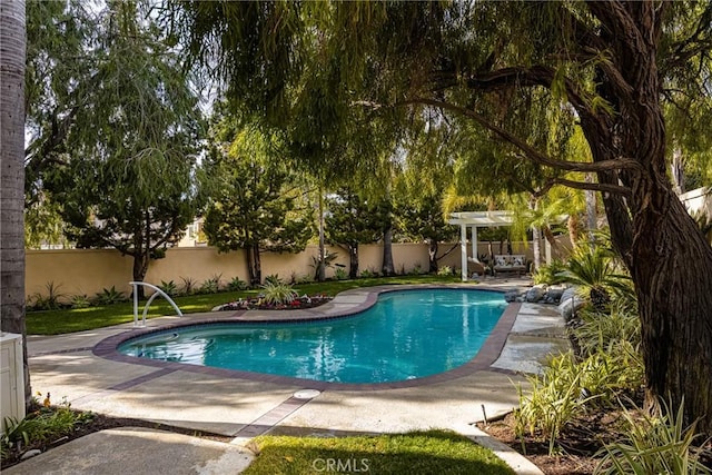 view of pool featuring a patio area