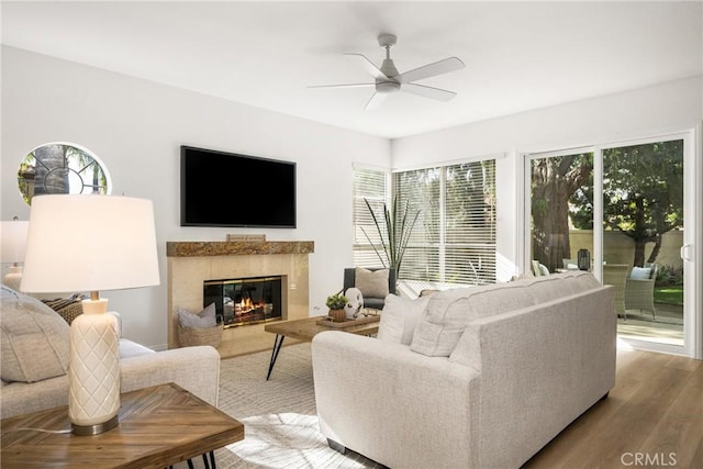 living room featuring hardwood / wood-style floors, a fireplace, and ceiling fan