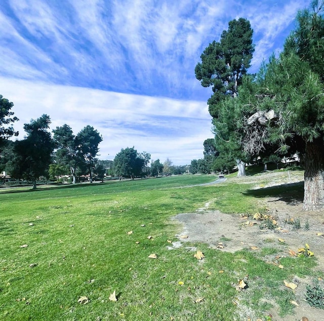 4115 Cyprus Island Ct, Fallbrook, CA 92028 - view of green lawn