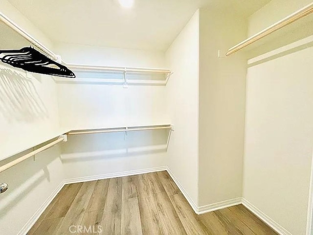 walk in closet with hardwood / wood-style floors