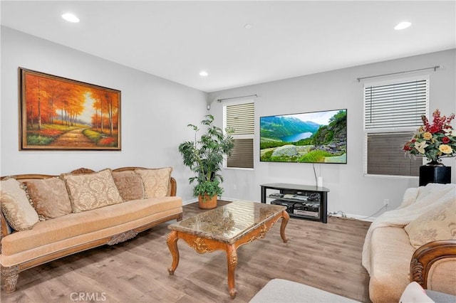 living room featuring light hardwood / wood-style floors