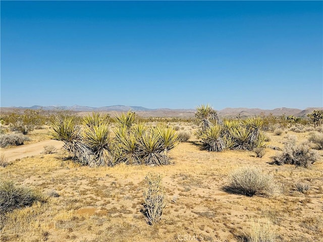 Listing photo 2 for 1070 Hilton Ave, Yucca Valley CA 92284