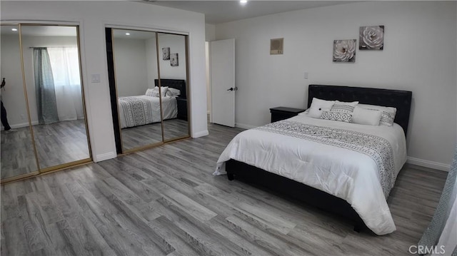 bedroom with wood-type flooring and multiple closets