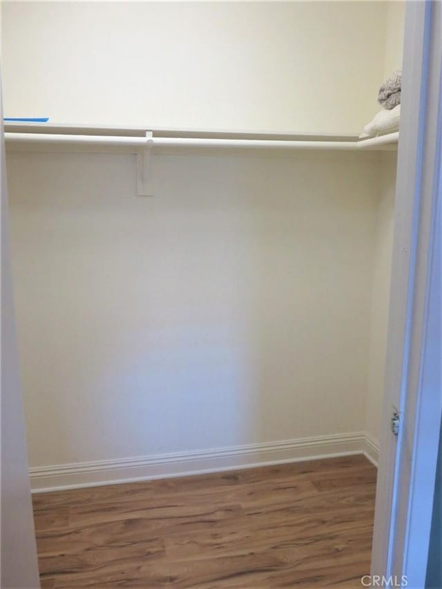 walk in closet featuring dark hardwood / wood-style flooring