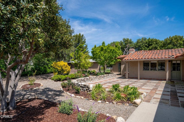 view of yard with a patio area