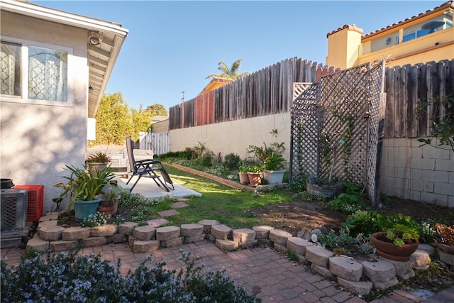 view of yard with a patio area and cooling unit