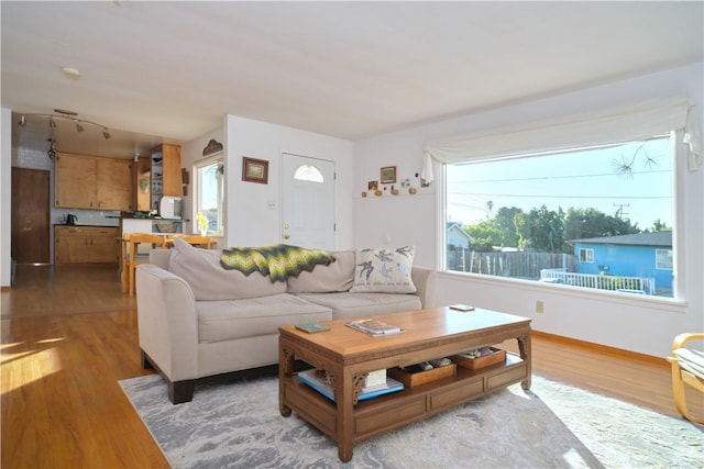 living room featuring light hardwood / wood-style floors