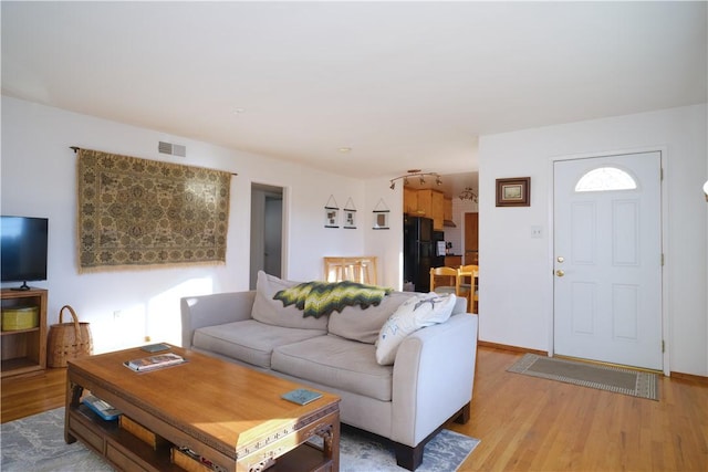 living room featuring light wood-type flooring