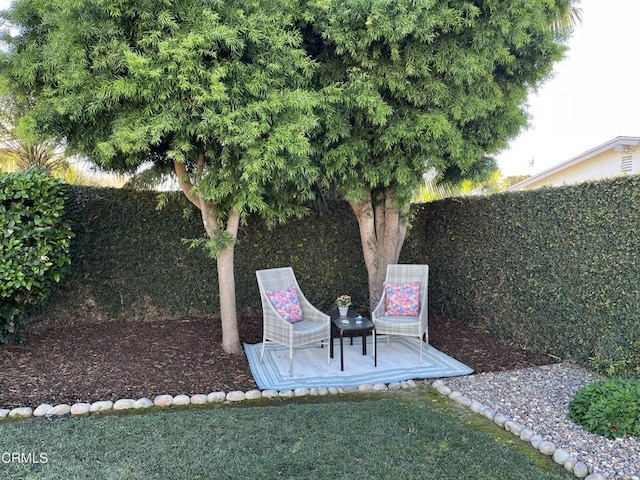 view of yard with a patio area