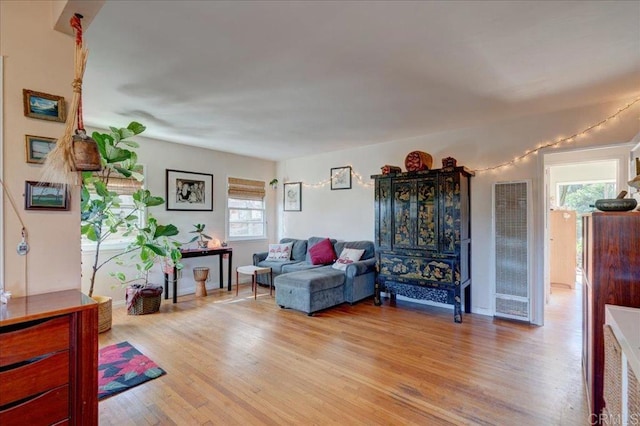 living room featuring light hardwood / wood-style flooring