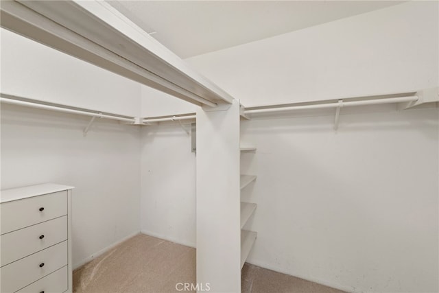 walk in closet featuring light carpet