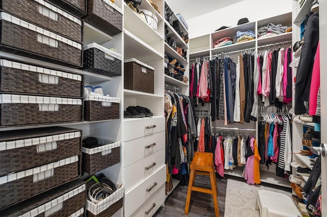 spacious closet featuring hardwood / wood-style floors