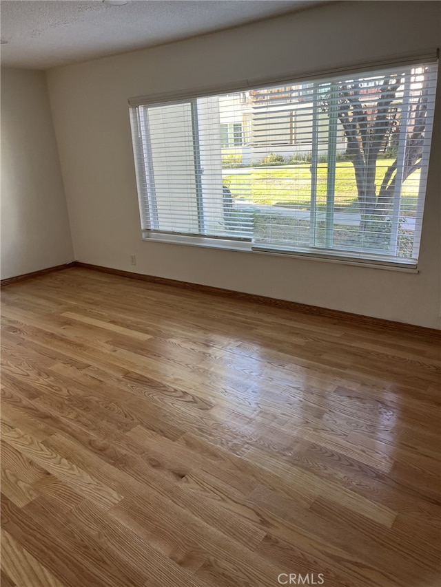 spare room featuring light wood-type flooring