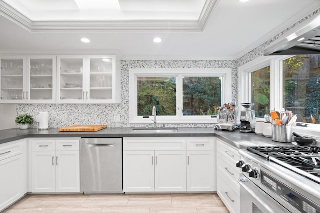 kitchen featuring crown molding, appliances with stainless steel finishes, sink, and white cabinets