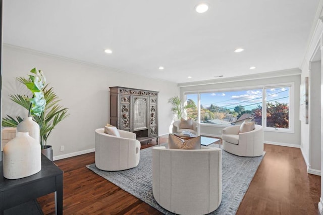 living room featuring crown molding and dark wood-type flooring