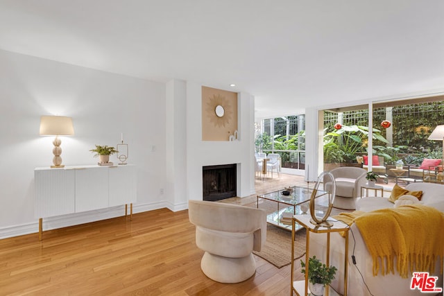 living room featuring wood-type flooring and expansive windows