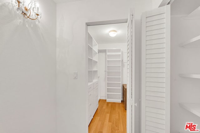 walk in closet with light wood-type flooring